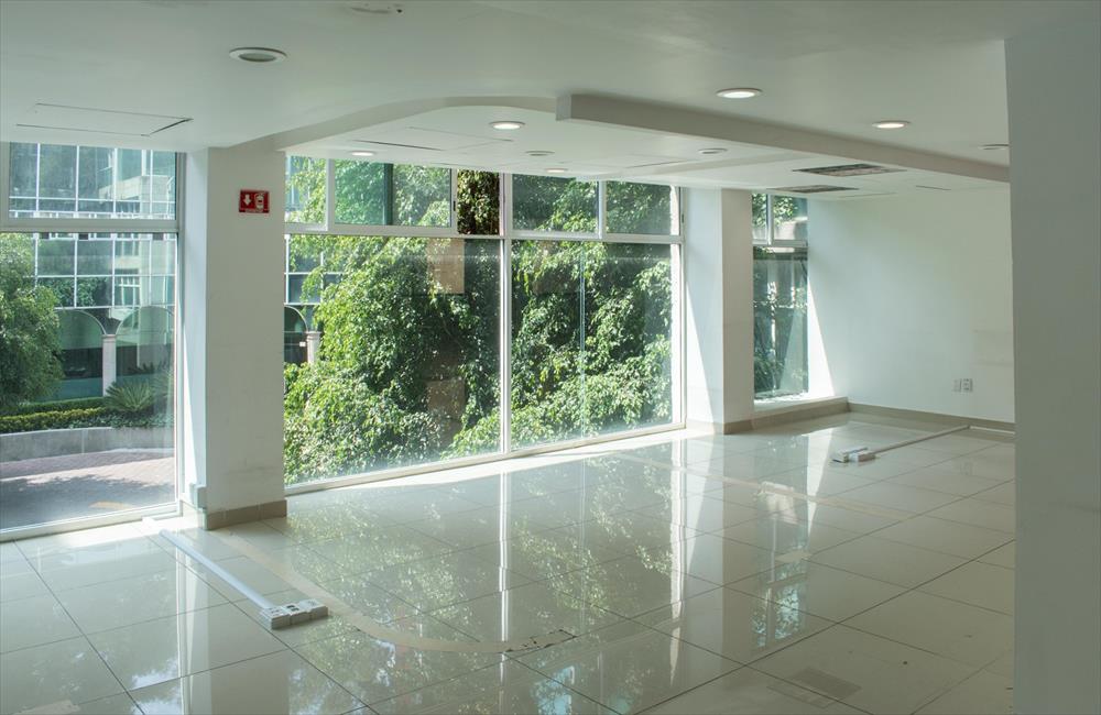 IMG-INMUEBLE